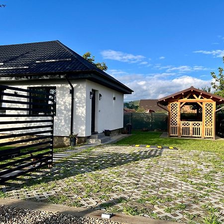 Casa Ilinca Villa Darmanesti  Exterior photo